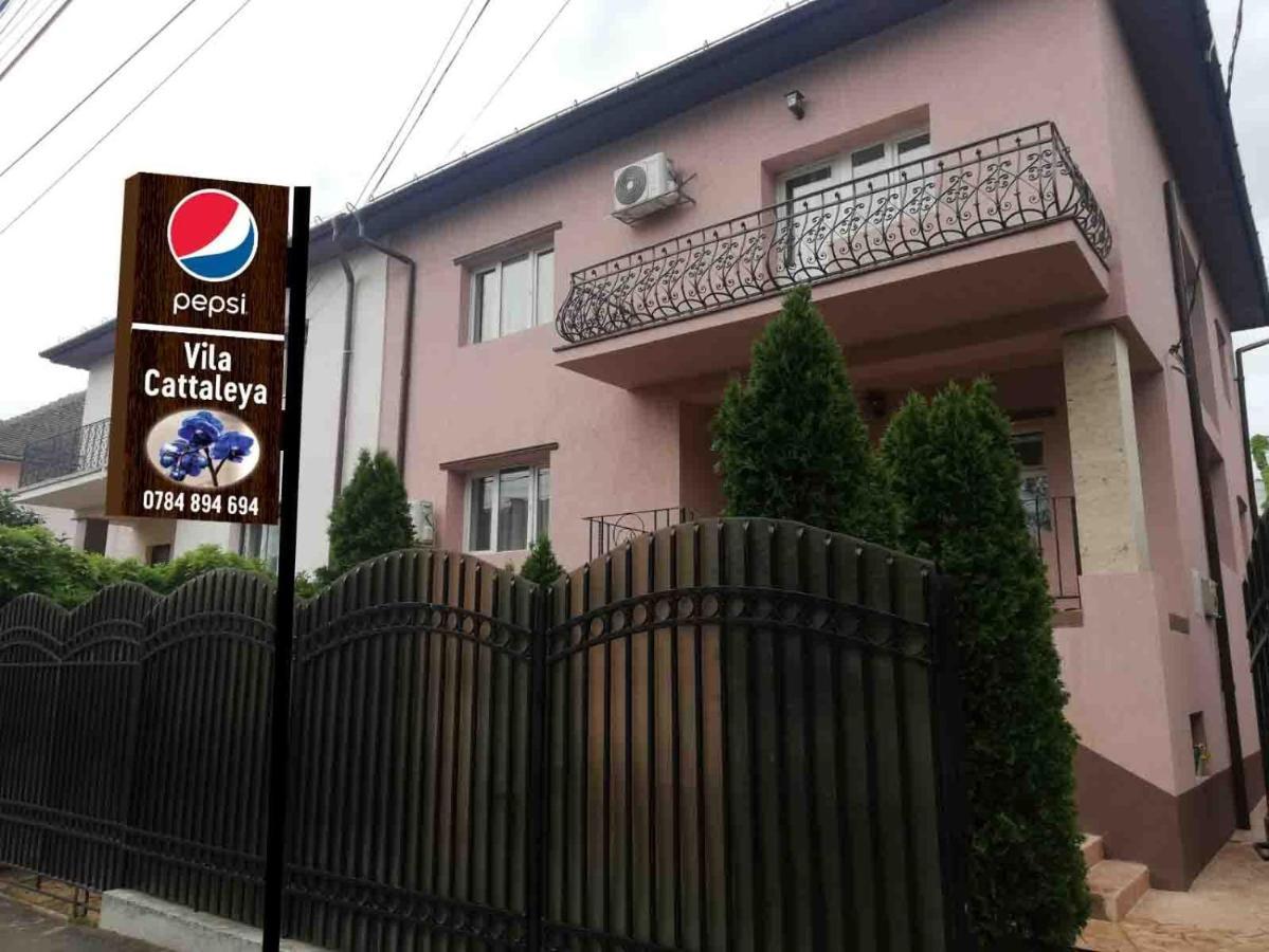 Casa Cattleya Hotel Targu Jiu Exterior photo